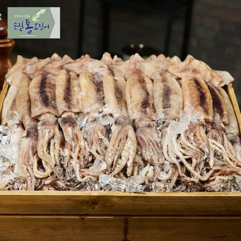 신선하게 손질된 손질 통오징어 260g x 8팩 총16미(팩당 2미)