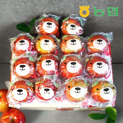 [농협] 아삭달콤 안동 세척사과 정품 2.5kg (16과내)