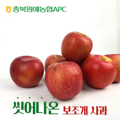 씻어나온 충주 보조개사과 6kg