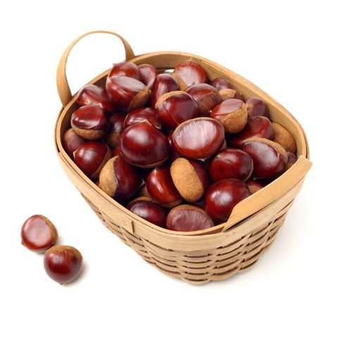 국내산 부여 무농약 햇밤 대사이즈 4kg