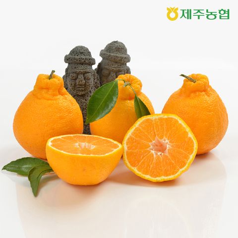 [귤로장생] 한라봉 2.5kg