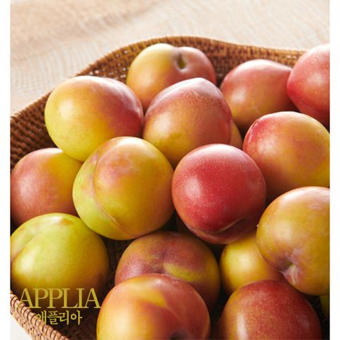 [ 애플리아 ] 25년 햇 자두 1.2kg  16∼24과  ( 300g x 4팩 )