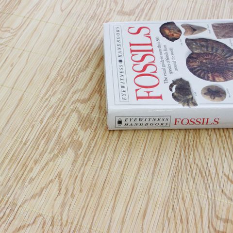 우드결 대나무자리 특대형 150x190cm