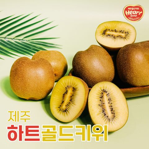 [제주농협]하트골드키위 2kg