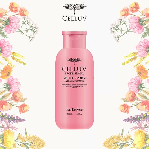 [CELLUV] 셀럽 YOUTH PDRN 샴푸 200ml 오 드 로즈 x 1통