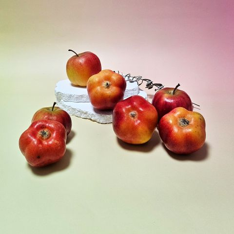 [ 애플리아 ] 영주 못난이 별사과  특대과 1kg ( 특대과 8∼10과 )