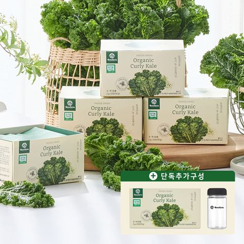 베네팜 유기농 곱슬케일 컬리케일분말 5박스(2g x 125포) + 전용보틀