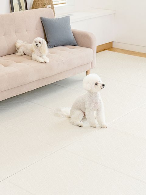 디팡 [폴딩 140x60cm] 1칸 중대형견용(7mm) 펫플레이 강아지매트 디자인 선택 +할인쿠폰