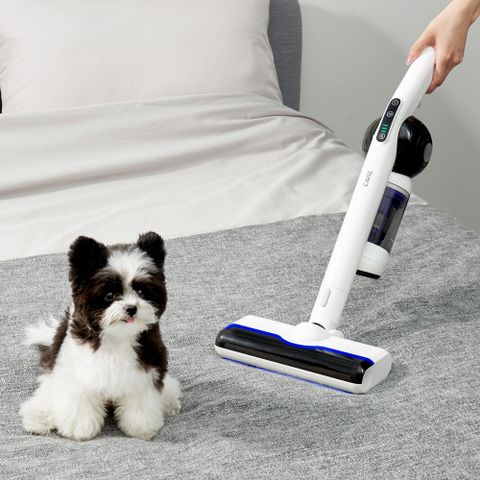 CANZ 올인원 UV살균 침구청소기 강력 흡입 청소 자동 먼지비움 침대 쇼파 진드기 청소기