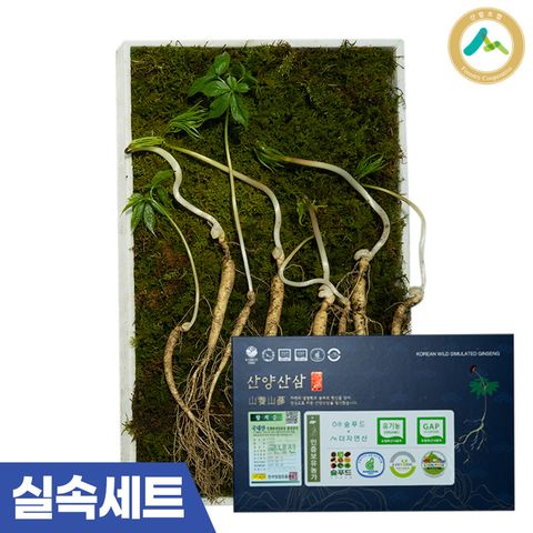 국내산 평창 유기농 산양삼 실속 선물세트 (6∼7년근 / 8뿌리)