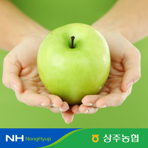 [농협]블랙라벨  25년 수확 햇 썸머킹 세척 사과 3kg