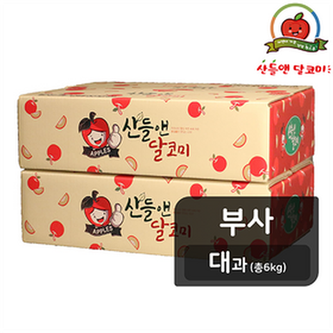 [TV쇼핑][대과] 산들앤 달코미 세척사과 3kg x 2박스(총 6kg)
