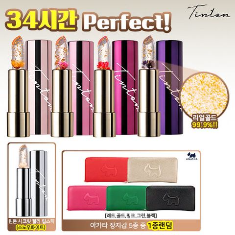 (틴톤 꽃 립스틱) 시크릿젤리 립스틱 4종 + 시크릿젤리 립스틱 (스노우화이트) +  아가타 장지갑