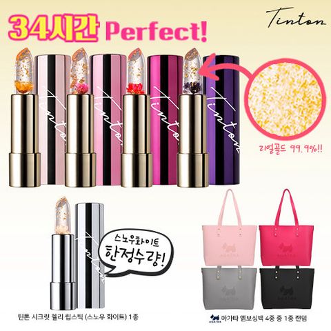 (틴톤 꽃 립스틱) 시크릿젤리 립스틱 4종 + 시크릿젤리 립스틱 (스노우화이트) +  아가타 엠보싱백