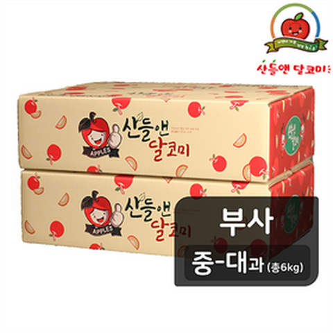 [TV쇼핑][중대과] 산들앤 달코미 세척사과 3kg x 2박스(총 6kg)