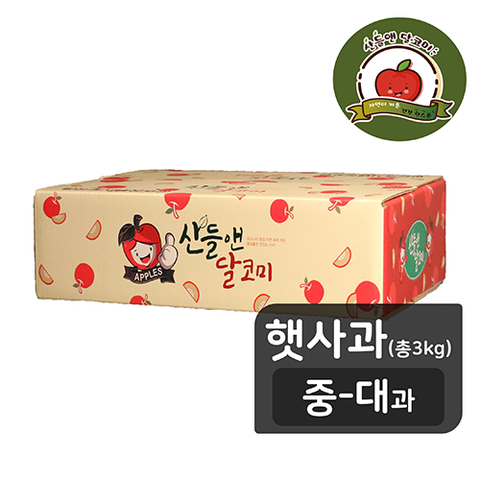 [산들앤/중대과] 산들앤 달코미 세척 여름 햇사과 3kg (총 1박스)