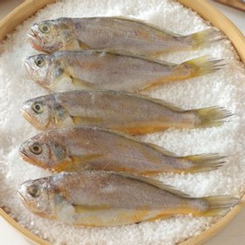 [TV쇼핑][바다성찬]영광법성포굴비 80g x 20미 ,1.6kg내외