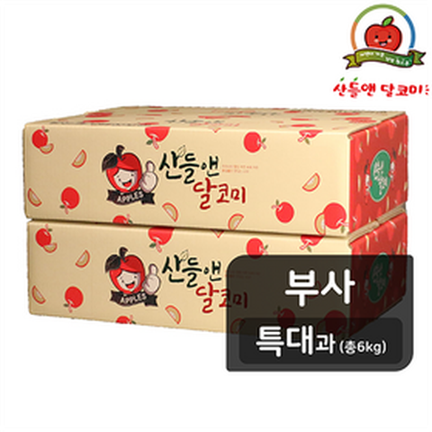 [TV쇼핑][특대과] 산들앤 달코미 세척사과 3kg x 2박스(총 6kg)