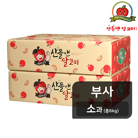 [26년햇사과][소과] 산들앤 달코미 세척사과 3kg x 2박스(총 6kg)