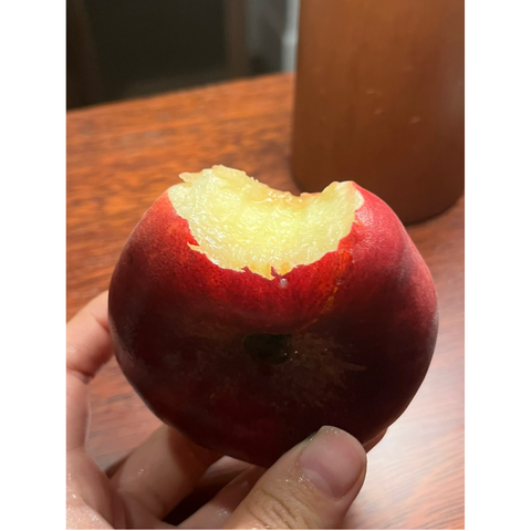 [2024] 리얼 납작복숭아 넙적복숭아 유럽도넛복숭아, 로얄과 1kg (4..., 1개