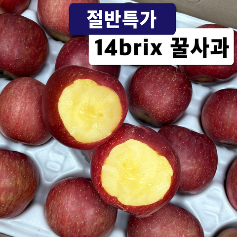 가성비 꿀사과 초특가 가성비 꿀사과 가정용 부사사과 못난이 부사사과, 3kg, 1박스