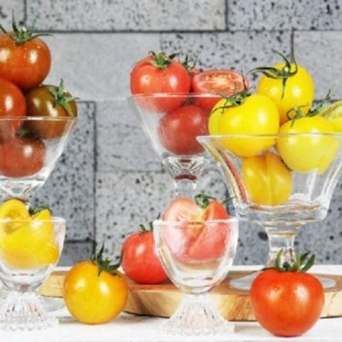 2026 오색 칵테일 토마토 5kg