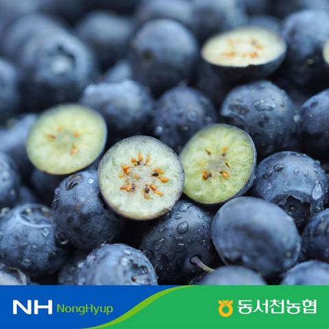 2026년 햇 동서천농협 블루베리 800g (200g*4팩,과당 14mm이상~17mm이하)