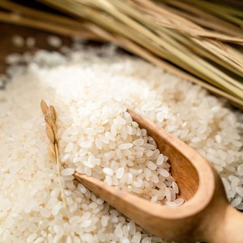 [25년_특등급] 진도선진농협 보배진미쌀 10kg*2포