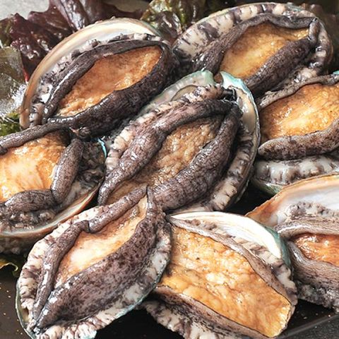 [청해진] 완도 왕특대 전복 8미