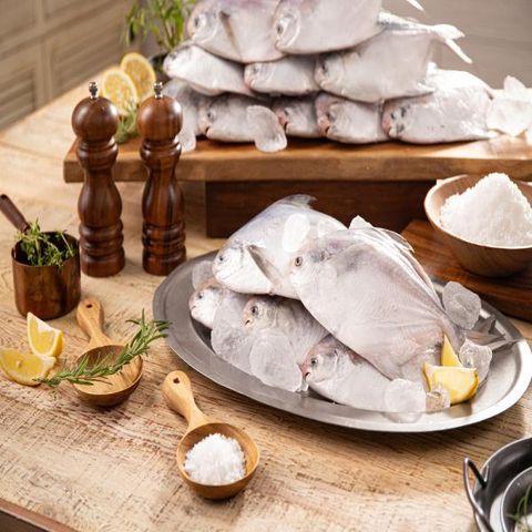 [우리참바다] 은병어 특대사이즈 250g×8마리