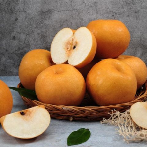 26년 나주 배 (더알짜) 7kg