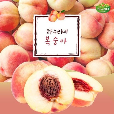 햇 백도복숭아 4.5kg*1박스(특대과/총 4.5kg 12~18개/개당 250g~375g)