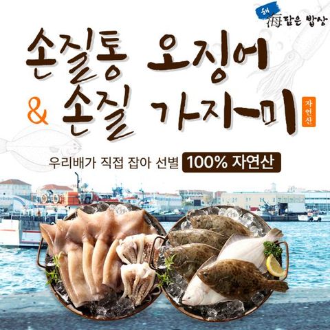 [해담은밥상] 손질오징어 130g x 10마리 + 손질가자미 120g x 12마리