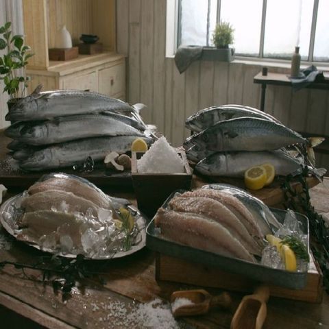 [왕특대] 고등어160g×11팩 + [특대]삼치150g×10팩