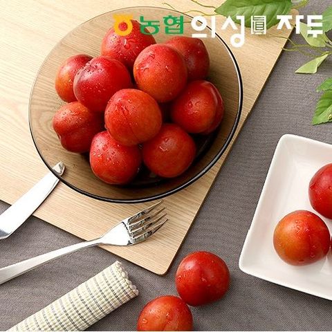 2025 의성眞(진)자두 4kg (1kg*4팩_대석)_과당 40~80g