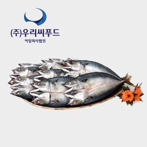 [우리참바다][특대] 국내산 자반고등어 300g×10마리