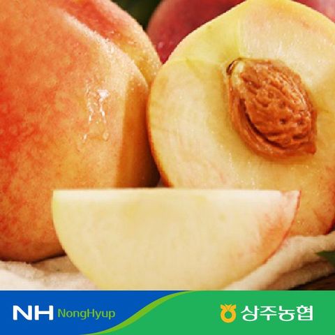 [상주농협]경북아삭이 백도복숭아 총5kg/총18~24개/L~2L사이즈