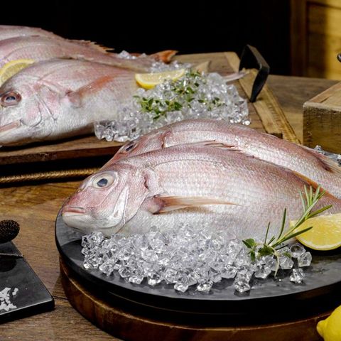 [수협] 국내산 자연산 참돔 450g×5마리