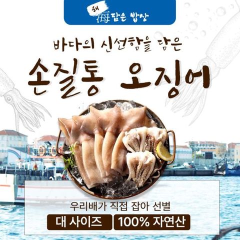 [해담은밥상] 손질통오징어 130g × 18미 (1팩/2미)