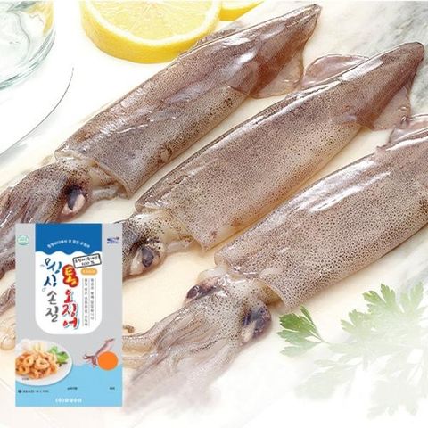 [유성] 국내산 손질통오징어 280g×7팩, 총 14미 (팩당2미)