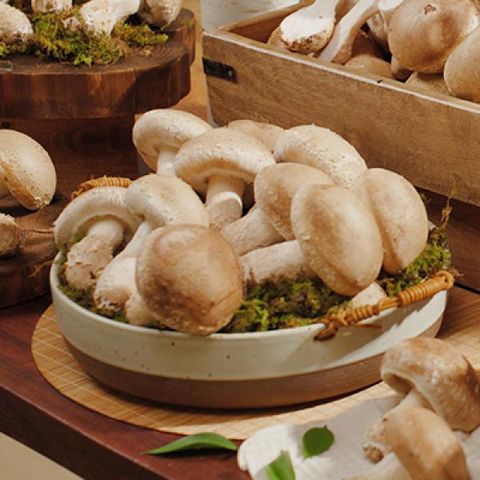 송이담 송화버섯 1kg*1박스