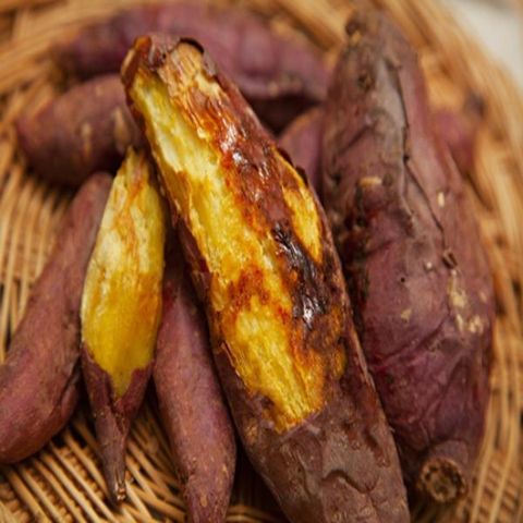 2025 햇 무안황토 꿀밤고구마 총 8kg (4kg + 4kg)