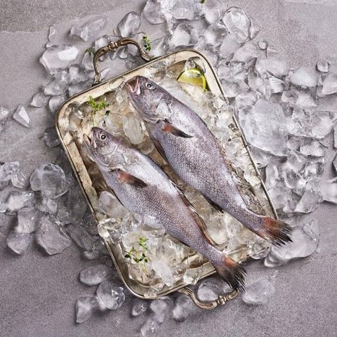 [우리참바다] 국내산 반건조 특대 통민어 400g×8마리