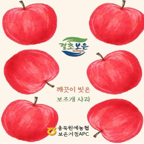 보은_2025 충북원예농협 부사(보조개4.5kg*1박스/12~27개/개당170~400g)