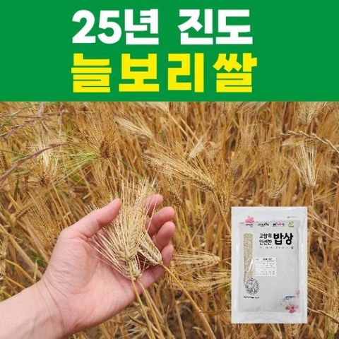 (2025 국내산)산들바람 진도 늘보리쌀 800gx6봉_산지직송