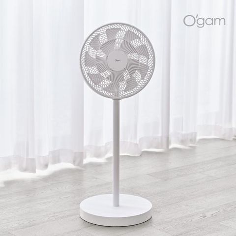 에버홈 오감 써큘레이터 1세트