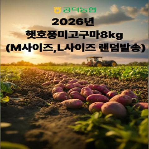 2026 농협 김제 호풍미 8kg. ML사이즈랜덤