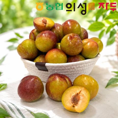 2026 의성진 추희자두 800gX4팩
