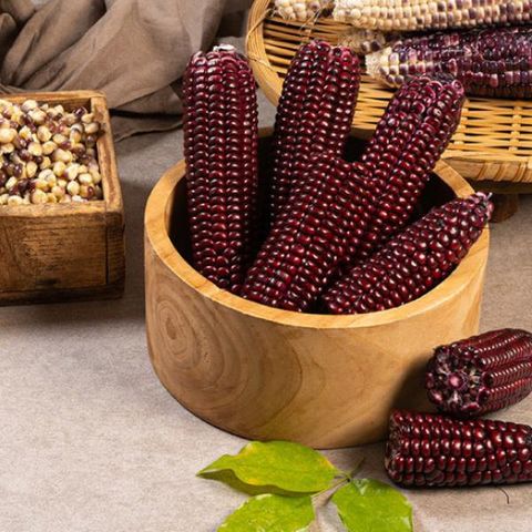 2025 여량농협 냉동찰옥수수 (옥수수24개+ 알알이 2봉)