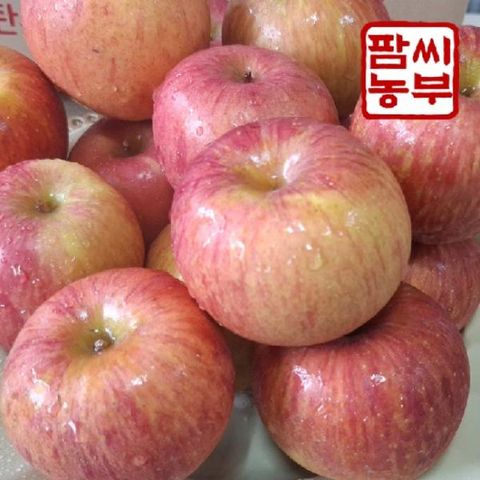 [팜씨농부]못난이 사과(소과) 2.5kg(부사 15과내)